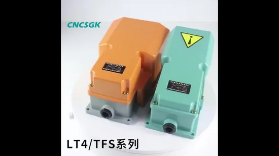 Auto Equipment Electric Foot Pedal Switch Rjsq-001 24/80V